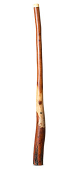 Wix Stix Didgeridoo (WS411)
